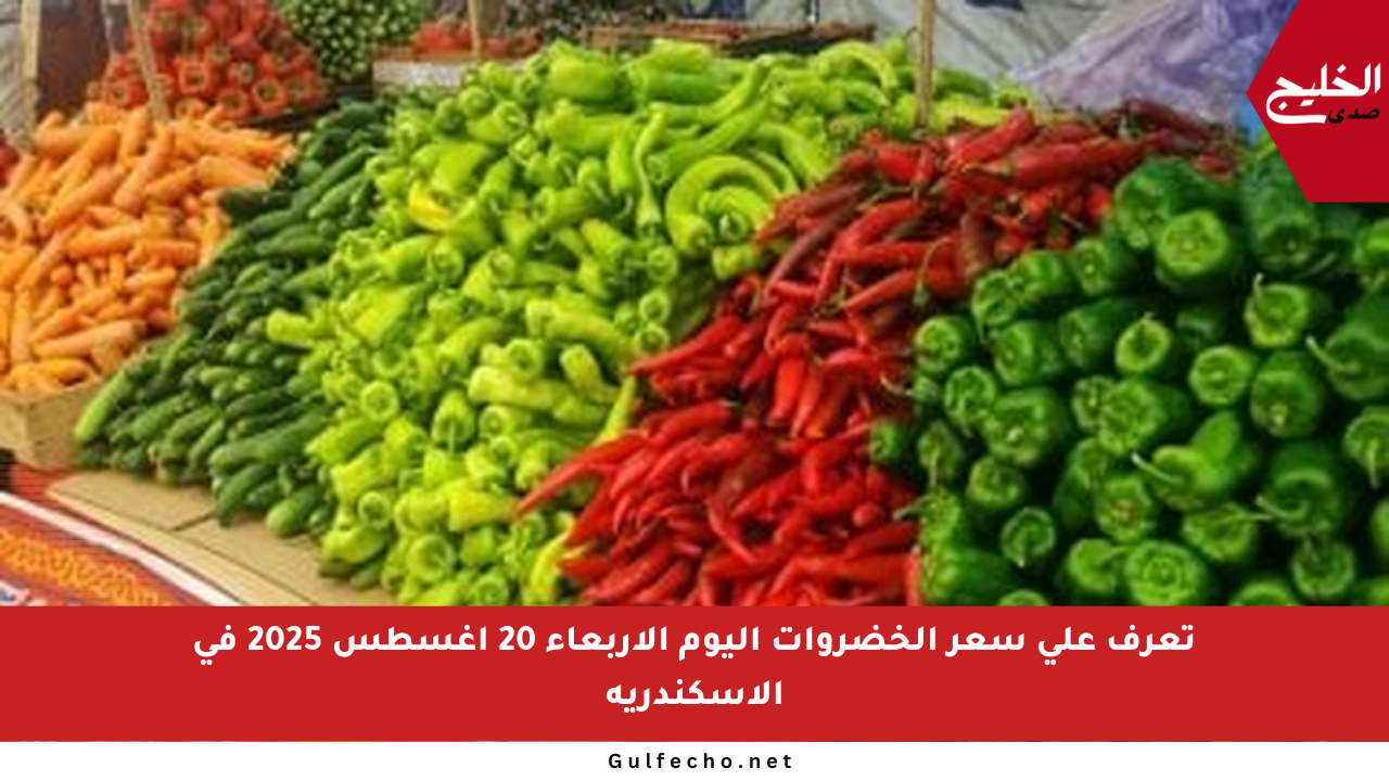 تعرف على سعر الخضروات اليوم الأربعاء 20 أغسطس 2025 في الإسكندرية